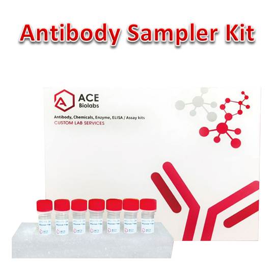 AMPK and ACC Antibody Sampler Kit