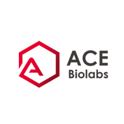 ABCC6 Antibody