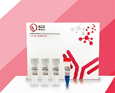ACExtract™ Plasmid Midi Kit