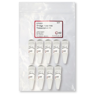 T7 High Yield RNA Transcription Kit