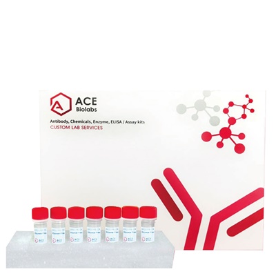 Cardiogenesis Marker Antibody Sampler Kit