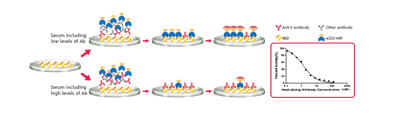 Human Novel Coronavirus (SARS-CoV-2 ) Neutralizing Antibody ELISA Kit