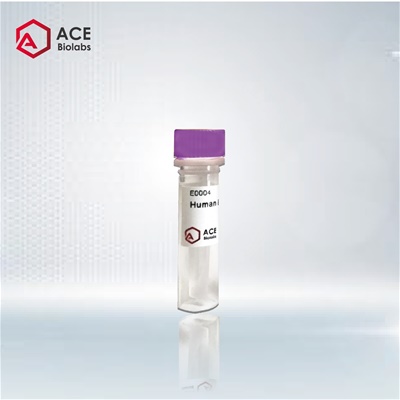 Anti-SARS-CoV-2 S-hIgG1 Neutralizing Antibody