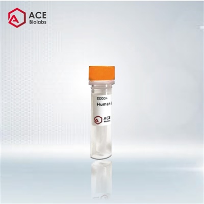 100X Protease Inhibitor Cocktail (EDTA-Free)