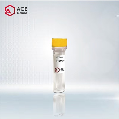 Claudin 4 (PT1925) mouse mAb