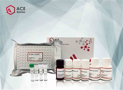 CLO(Clorprenaline) ELISA Kit