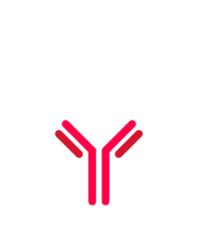 <span style="font-size:18px;"><span style="font-family:Trebuchet MS,Helvetica,sans-serif;"><strong>Antibody Production</strong></span></span>