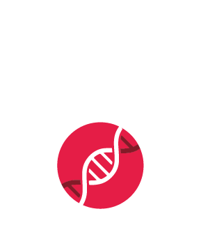 <span style="font-size:18px;"><span style="font-family:Trebuchet MS,Helvetica,sans-serif;"><strong>Gene Synthesis</strong></span></span>