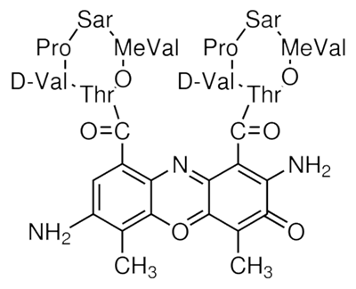 7-Aminoactinomycin D (7-AAD)