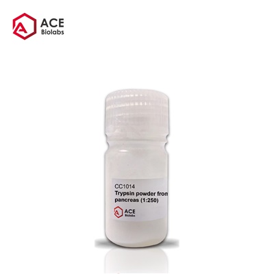 Trypsin powder from porcine pancreas (1:250)