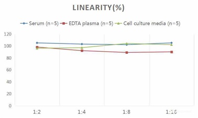 Human IFNγ(Interferon Gamma) ELISA Kit