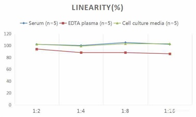 Human IL1β(Interleukin 1 Beta) ELISA Kit