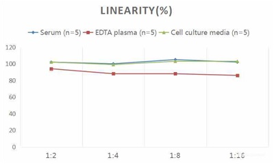 Human IL1β(Interleukin 1 Beta) ELISA Kit