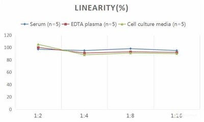 Human PDGF-AB (Platelet Derived Growth Factor AB) ELISA Kit