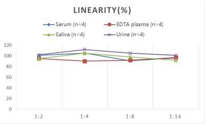 StepSkip™ Human Cys-C(Cystatin C) ELISA Kit