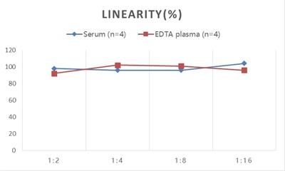 StepSkip™ Human TG(Thyroglobulin) ELISA Kit
