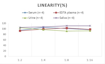 StepSkip™ Human IgA(Immunoglobulin A) ELISA Kit