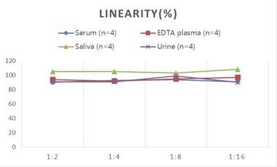 StepSkip™ Human IgG(Immunoglobulin G) ELISA Kit