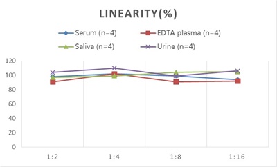 StepSkip™ Human IgM(Immunoglobulin M) ELISA Kit