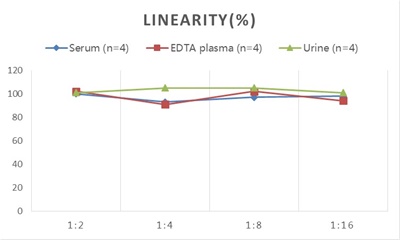 StepSkip™ Human BMG/β2-MG(Beta-2-Microglobulin) ELISA Kit
