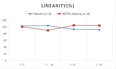 StepSkip™ Human VEGF-A(Vascular Endothelial Growth Factor A) ELISA Kit