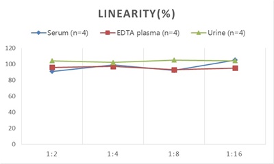 StepSkip™ Human NGAL(Neutrophil Gelatinase Associated Lipocalin) ELISA Kit