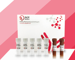 ACE Script II One Step qRT-PCR Kit (Probe)