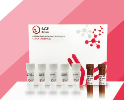 ACE Script II U+ One Step qRT-PCR Kit (Probe)