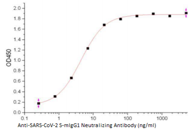 Anti-SARS-CoV-2 S-mIgG1 Neutralizing Antibody