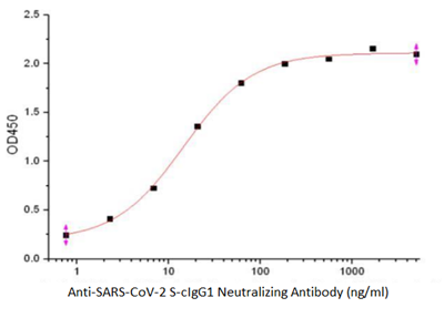 Anti-SARS-CoV-2 S-cIgG1 Neutralizing Antibody