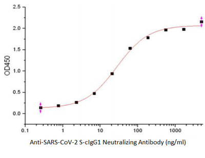 Anti-SARS-CoV-2 S-cIgG1 Neutralizing Antibody