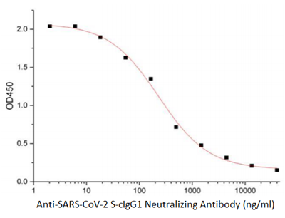 Anti-SARS-CoV-2 S-cIgG1 Neutralizing Antibody