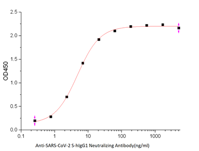 Anti-SARS-CoV-2 S-hIgG1 Neutralizing Antibody