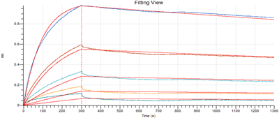 Anti-SARS-CoV-2 S-hIgG1 Neutralizing Antibody