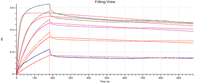 Anti-SARS-CoV-2 S-hIgG1 Neutralizing Antibody