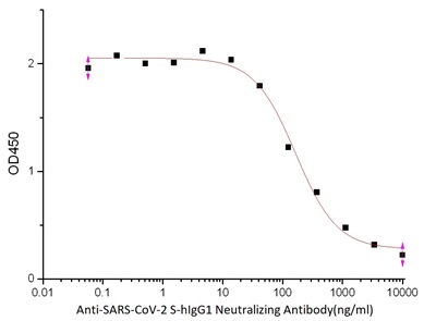 Anti-SARS-CoV-2 S-hIgG1 Neutralizing Antibody