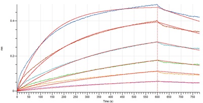 Anti-SARS-CoV-2 S-hIgG1 Neutralizing Antibody