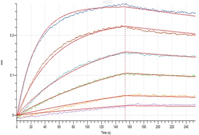 Anti-SARS-CoV-2 S-hIgG1 Neutralizing Antibody