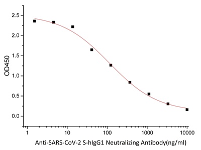 Anti-SARS-CoV-2 S-hIgG1 Neutralizing Antibody