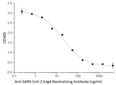 Anti-SARS-CoV-2 S-IgA Neutralizing Antibody