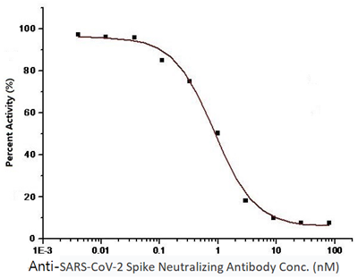 SARS-CoV-2 Spike Neutralizing Antibody, Mouse Mab (IgG1 Clone 43)