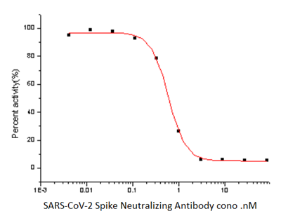 SARS-CoV-2 Spike Neutralizing Antibody, Rabbit Mab
