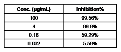 SARS-CoV-2 Spike Neutralizing Antibody, Rabbit Mab