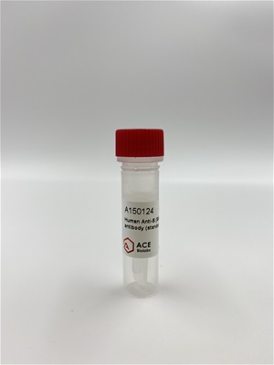 Human Anti-S (SARS-COV-2) IgG antibody (standard for immunoassay)