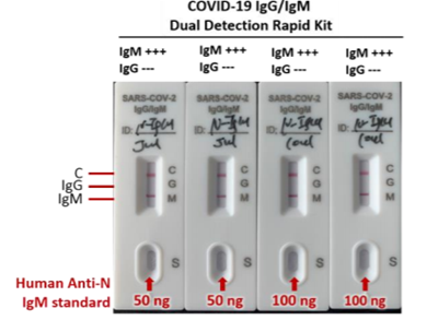 Human Anti-N (SARS-COV-2) IgM antibody (standard for immunoassay)