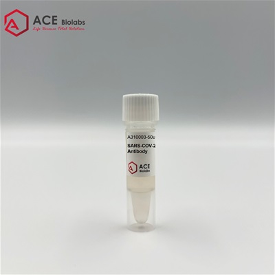 SARS-COV-2 Spike Monoclonal Antibody