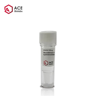 Recombinant Human Gamma-glutamyl hydrolase (GGH)