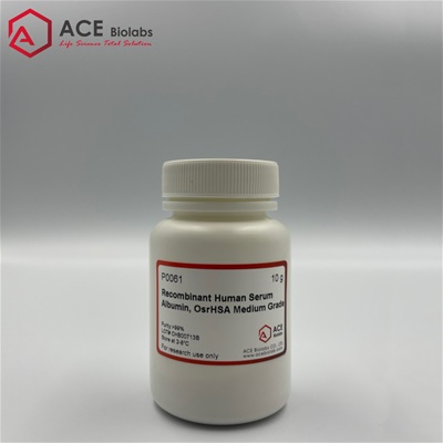 Recombinant Human Serum Albumin, OsrHSA Medium Grade