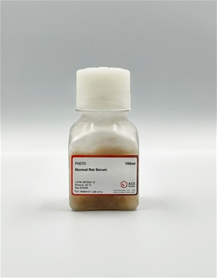 Normal Rat Serum