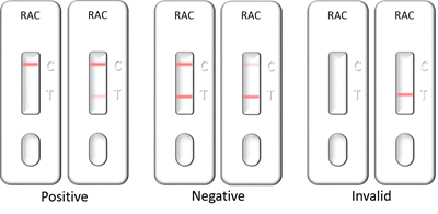 RAC(Ractopamine) Lateral Flow Rapid Test Kit (Tissue, Muscle)